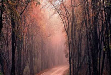 九游体育直播-摩洛哥瓦赫达迎战鹿岛鹿角，防守反击或成致胜关键