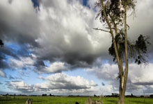 九游体育直播-柏林赫塔主场告捷！钢铁意志点燃奥林匹克球场，蓝白军团吹响逆袭号角