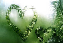 九游APP-西雅图海湾者锋线组合默契,世俱杯争冠实力凸显