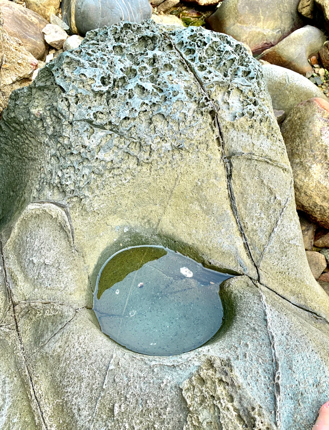 海南珊瑚表现出色，主场攻陷巢穴的简单介绍