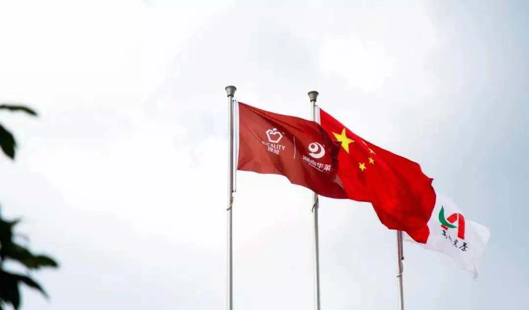 九游娱乐官方-瑞士队开门红,迈向胜利