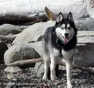 赫拉尔基正通过赫拉尔基,重上升级榜首 赫拉尔基正通过赫拉尔基,重上升级榜首